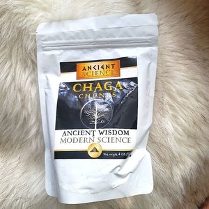 🍄 NEW/SEALED Changa Mushroom 🍄